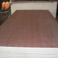 18mm poplar plywood hot press for sale